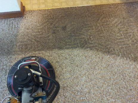 carpet cleaning cedar rapids very finest carpet cleaners.